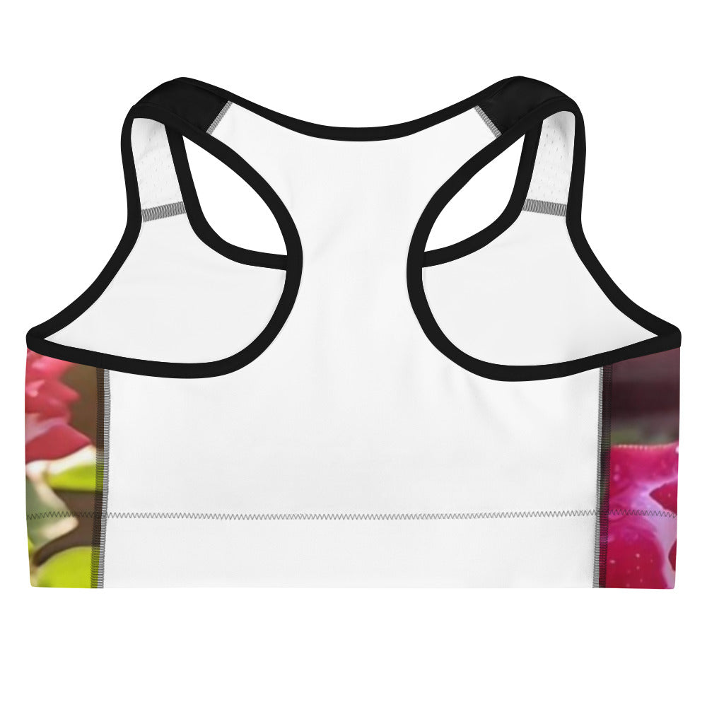 Sports bra