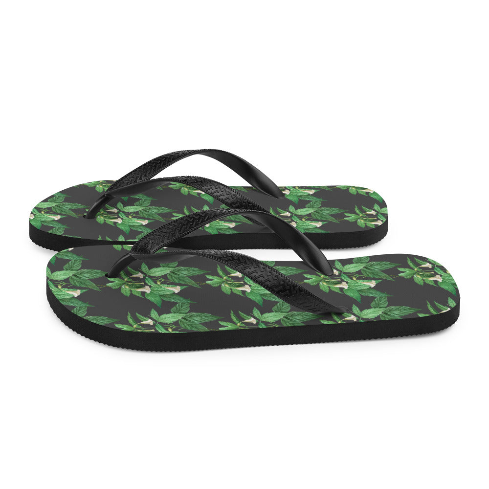 Flip-Flops